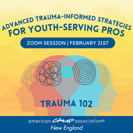 Trauma-Informed Support for Camps (2)